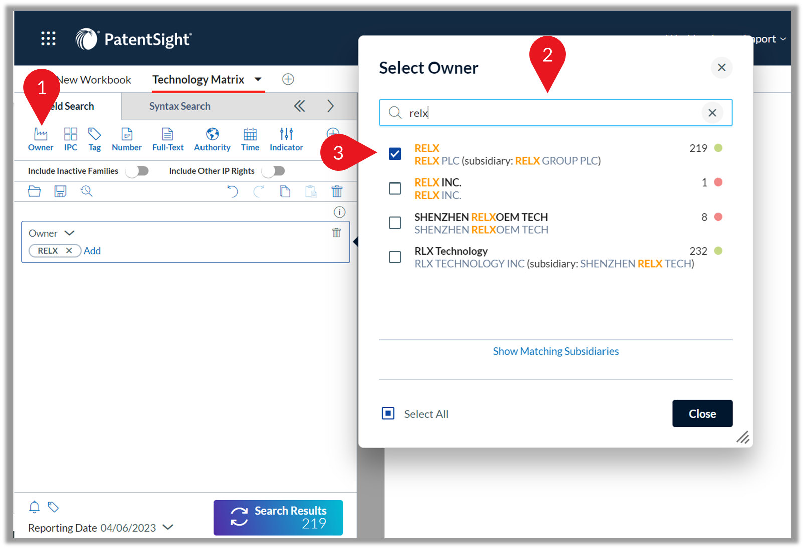 検索パネル使用方法 – LexisNexis Intellectual Property Solutions